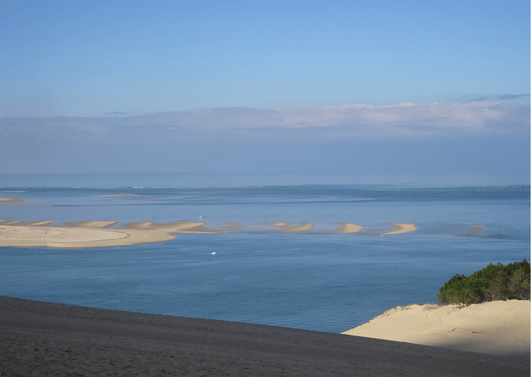 Les bleus de la dune legere