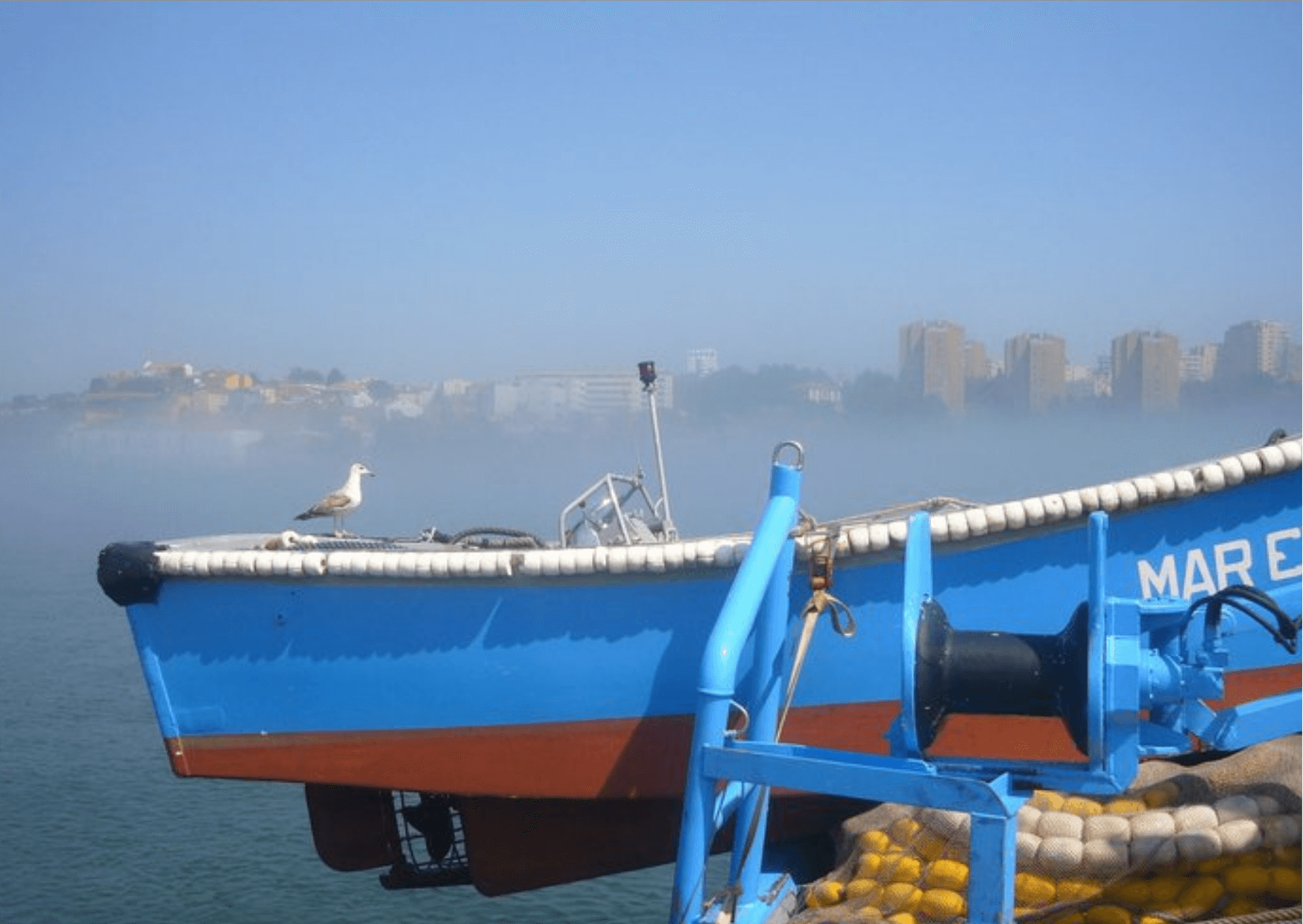 Photo la brume colorée legere