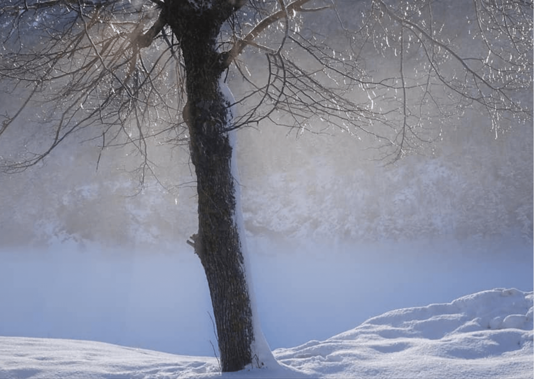 Photo un matin d'hiver legere