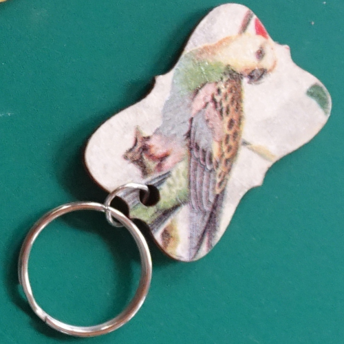 Porte clés oiseau 2 fond vert