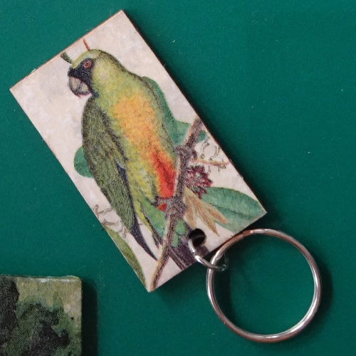 Porte clés rectangle oiseaux fond vert