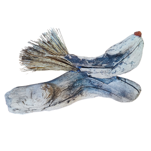 Oiseau 2 (1)